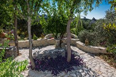 Villa Elisa - photo 37