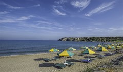 Irene Palace Hotel - photo 8