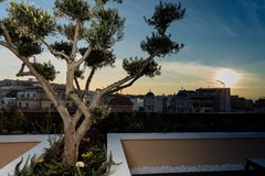 Athens Mansion Luxury Suites: Terrace - photo 3