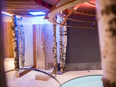 Alaska Hotel - photo 8