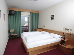 Alpino Plan Hotel - photo 13