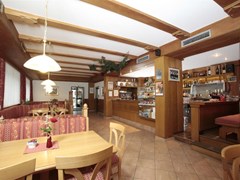 Alpino Plan Hotel - photo 8