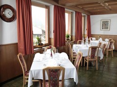 Alpino Plan Hotel - photo 10