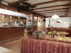 Alpino Plan Hotel - photo 5