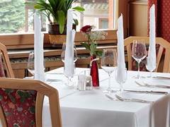 Alpino Plan Hotel - photo 9