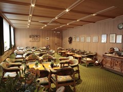 Alpino Plan Hotel - photo 4