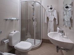 Terme Bologna Hotel - photo 38