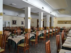 Terme Bologna Hotel - photo 23