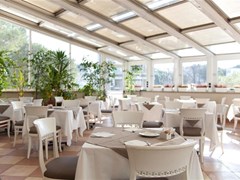 Panoramic Plaza Hotel - photo 21