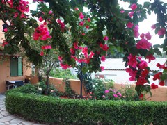 Scorpios Hotel and Apartments - photo 2