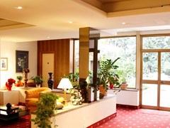 Edera Hotel - photo 4