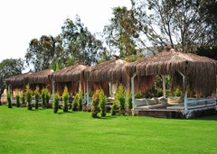Tiana Beach Resort Hotel - photo 7