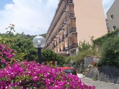 Ipanema Hotel - photo 1