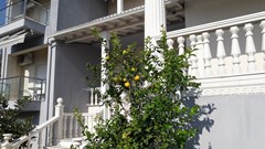 Villa Spartandom - photo 1