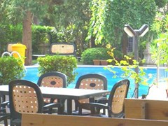 New Tiffanys Park Hotel - photo 6