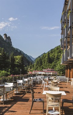 Best Western Sairme Resort - photo 19