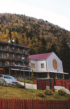 Best Western Sairme Resort - photo 43