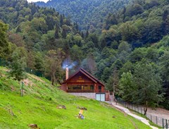Best Western Sairme Resort - photo 81