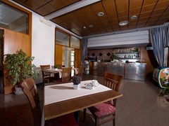 River Palace Hotel - photo 7