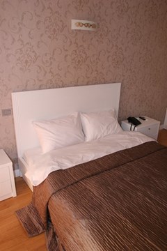 Monte Carlo Hotel - photo 5