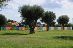 Hotel Voi Arenella Resort - photo 25