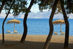 Makis Inn Beach Resort - photo 12