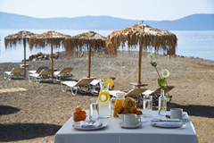Makis Inn Beach Resort - photo 11