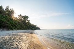 Theo Bungalows Hotel - photo 11
