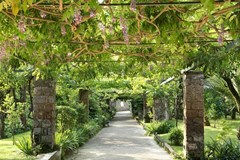 Cocumella Grand Hotel - photo 10