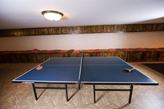 Amberd Hotel - photo 5