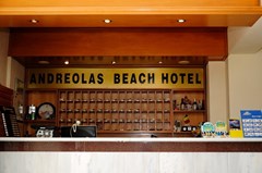 Andreolas Beach Hotel - photo 5