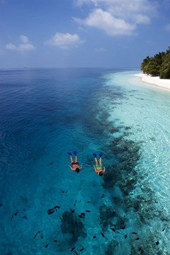 Vilamendhoo Island Resort & Spa - photo 184