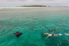 Vilamendhoo Island Resort & Spa - photo 166