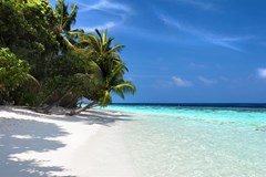 Vilamendhoo Island Resort & Spa - photo 41