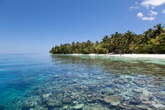 Vilamendhoo Island Resort & Spa - photo 36