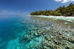 Vilamendhoo Island Resort & Spa - photo 38