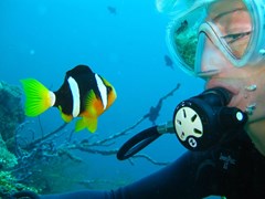 Vilamendhoo Island Resort & Spa - photo 101