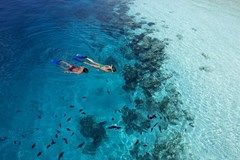 Vilamendhoo Island Resort & Spa - photo 182