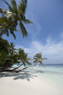 Vilamendhoo Island Resort & Spa - photo 29