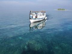 Vilamendhoo Island Resort & Spa - photo 107