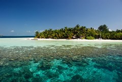 Vilamendhoo Island Resort & Spa - photo 31