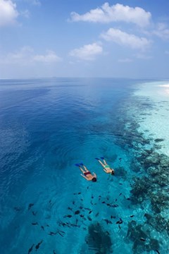 Vilamendhoo Island Resort & Spa - photo 185