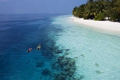 Vilamendhoo Island Resort & Spa - photo 181