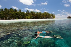 Vilamendhoo Island Resort & Spa - photo 187