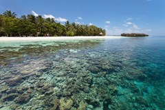 Vilamendhoo Island Resort & Spa - photo 39