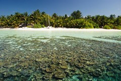 Vilamendhoo Island Resort & Spa - photo 34