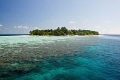 Vilamendhoo Island Resort & Spa - photo 43