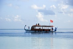 Vilamendhoo Island Resort & Spa - photo 102