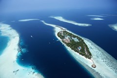 Vilamendhoo Island Resort & Spa - photo 8