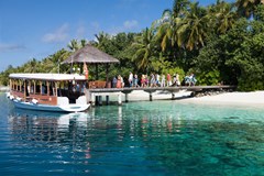Vilamendhoo Island Resort & Spa - photo 190